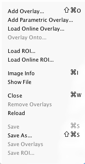 File Menu